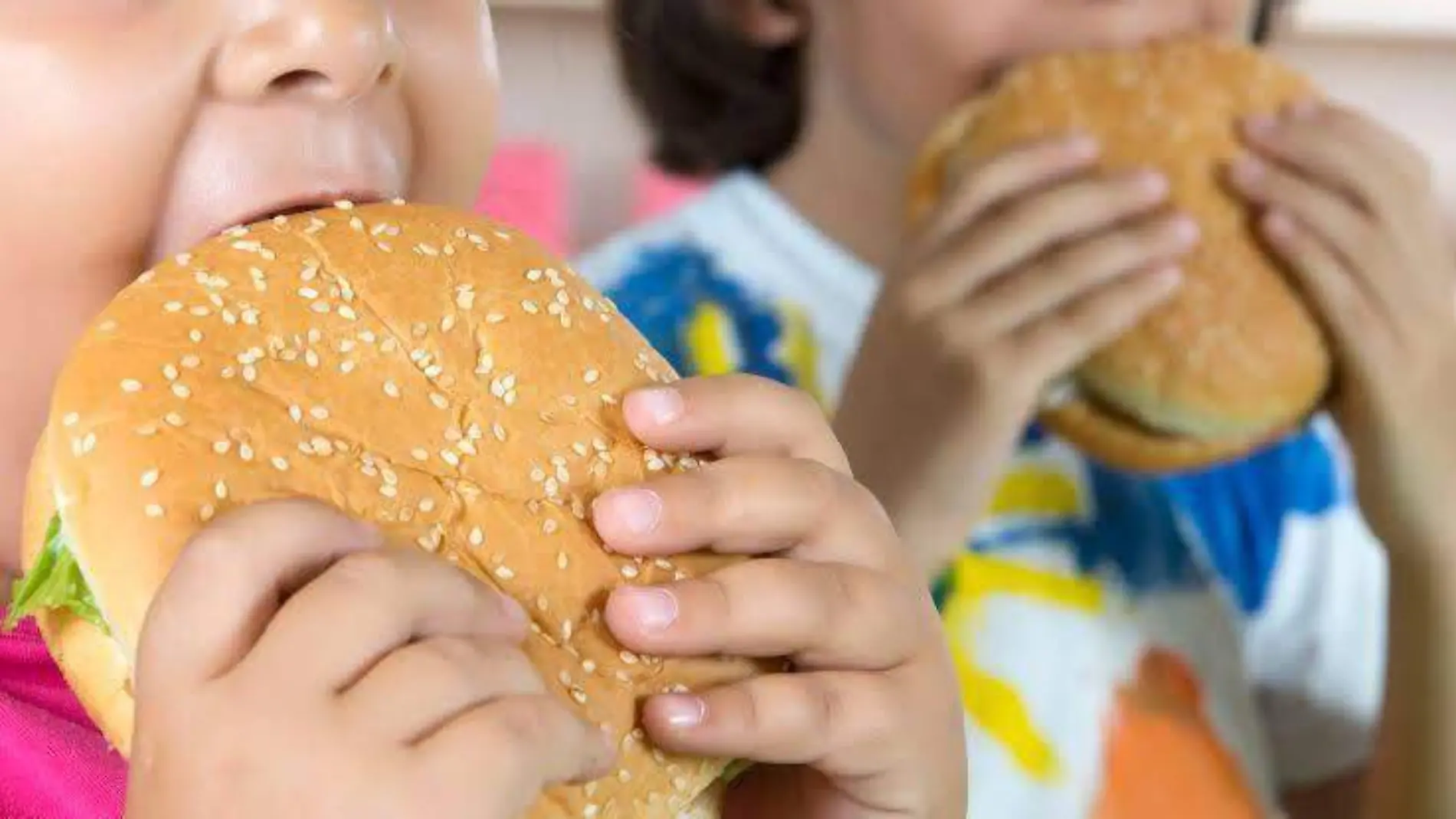 obesidad-Niños-comiendo-hamburguesa-comida